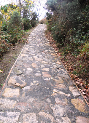 Mourne Heritage Trust